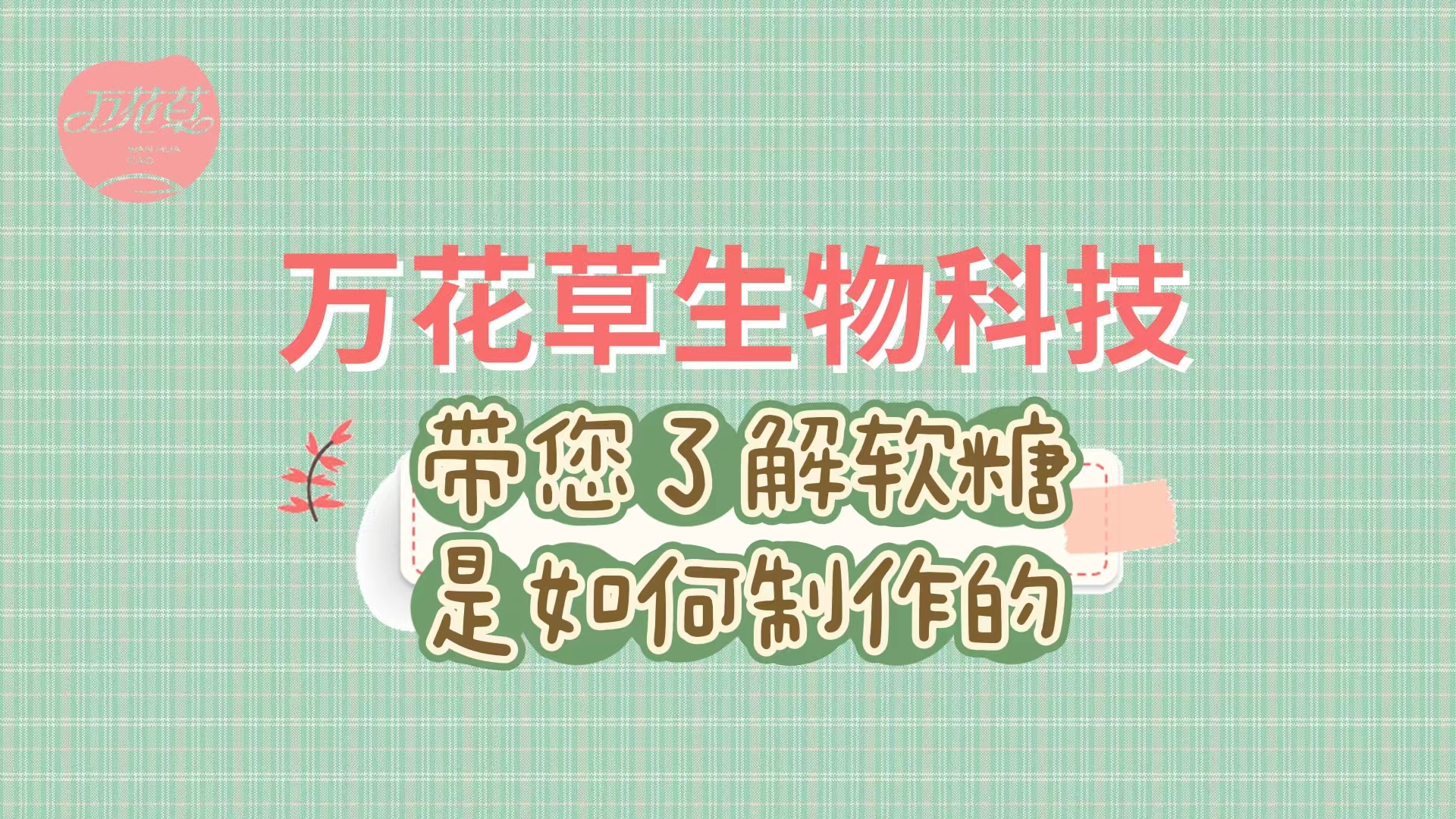 軟糖代加工生產(chǎn)工藝流程，帶您了解糖果是如何制作的