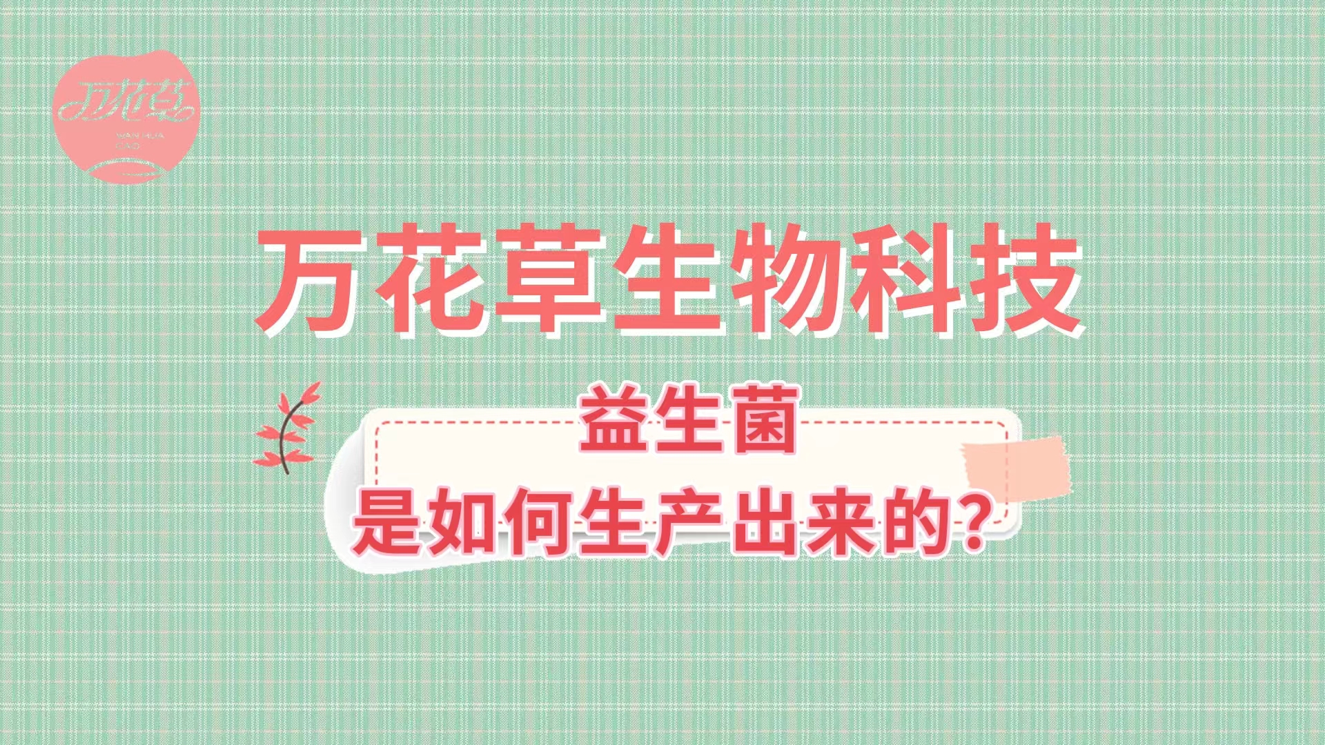 帶您了解益生菌是如何生產(chǎn)出來(lái)的,好的廠家哪里找？