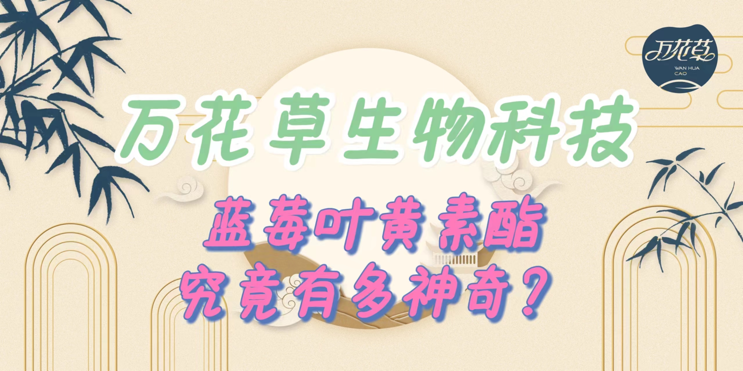 升級(jí)配方，重磅出擊，萬(wàn)花草藍(lán)莓葉黃素酯究竟有多神奇？