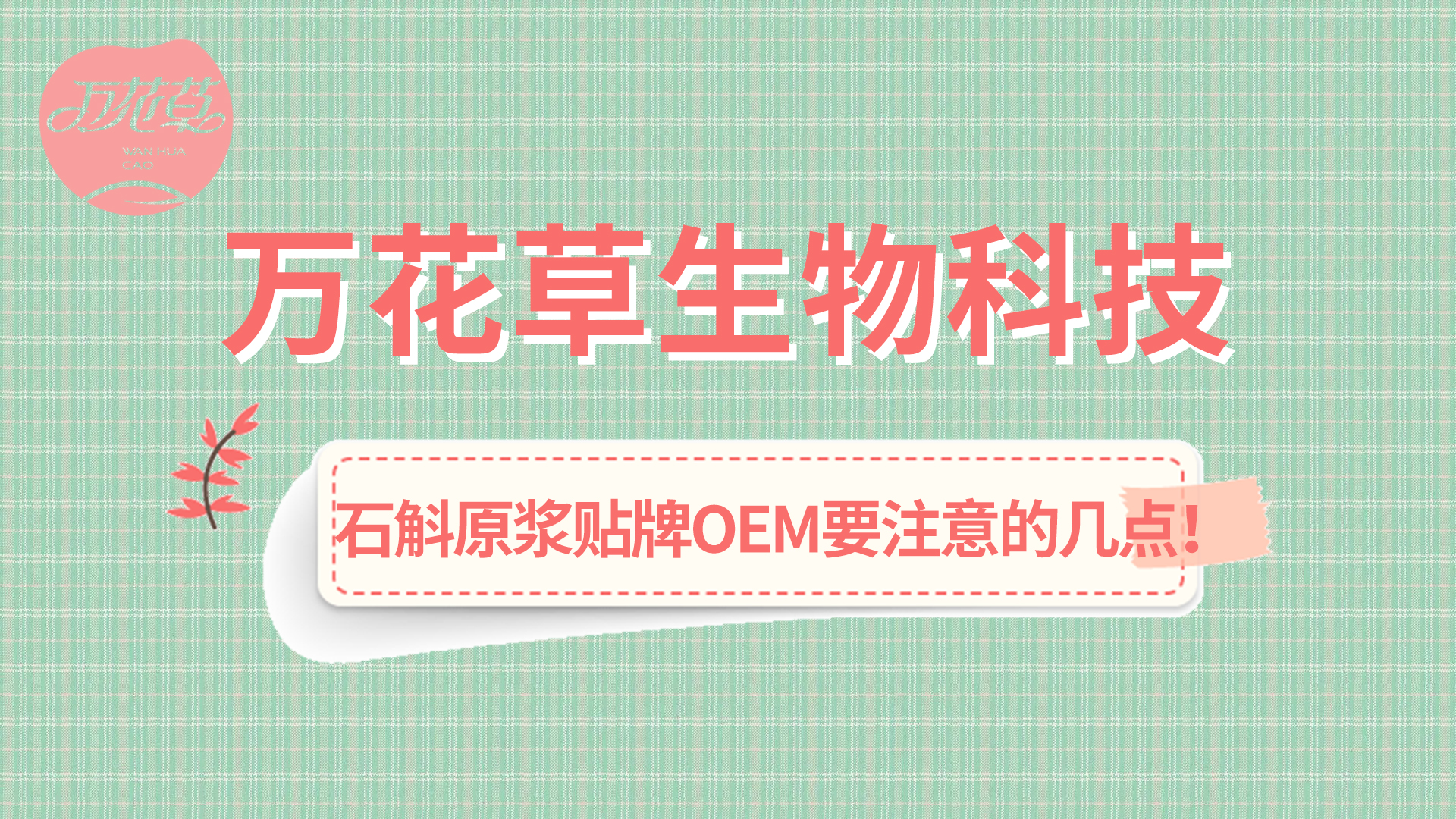 石斛原漿貼牌oem您需要注意哪幾點(diǎn)？